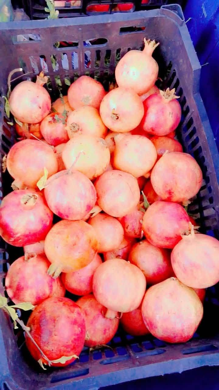 خيار • بطيخة ناعمة • تمر ورمان