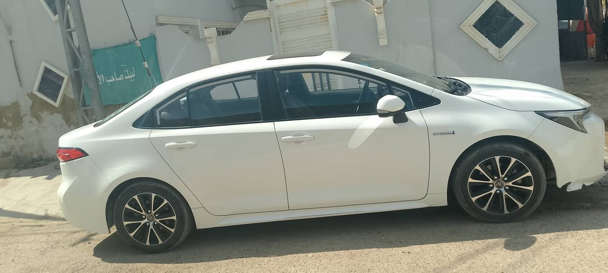 كورله هايبرد خليجي نفس الي بل صوره شوفت عينك الستفسار التصال بل رقم ***********
