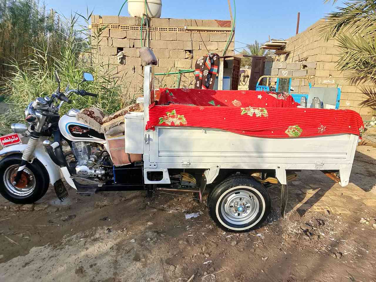 ستوته • الشطره • سعر خاص