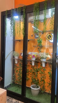 براد ورد للبيع07757231778