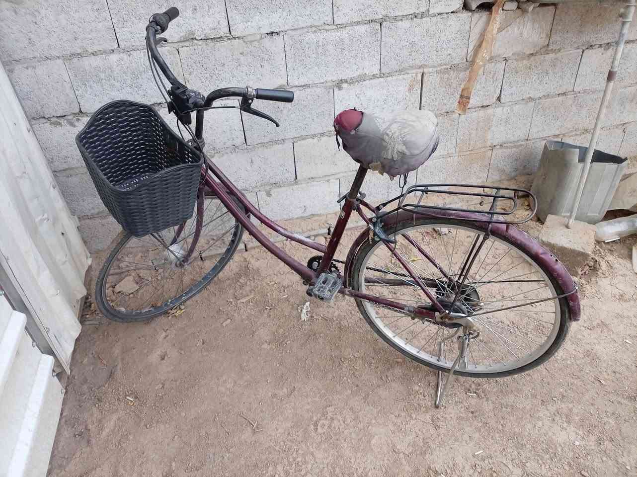 بايسكل ٢٦ • نضيف • دلي عباس