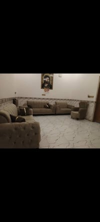 تخم قنفات • سعر خاص