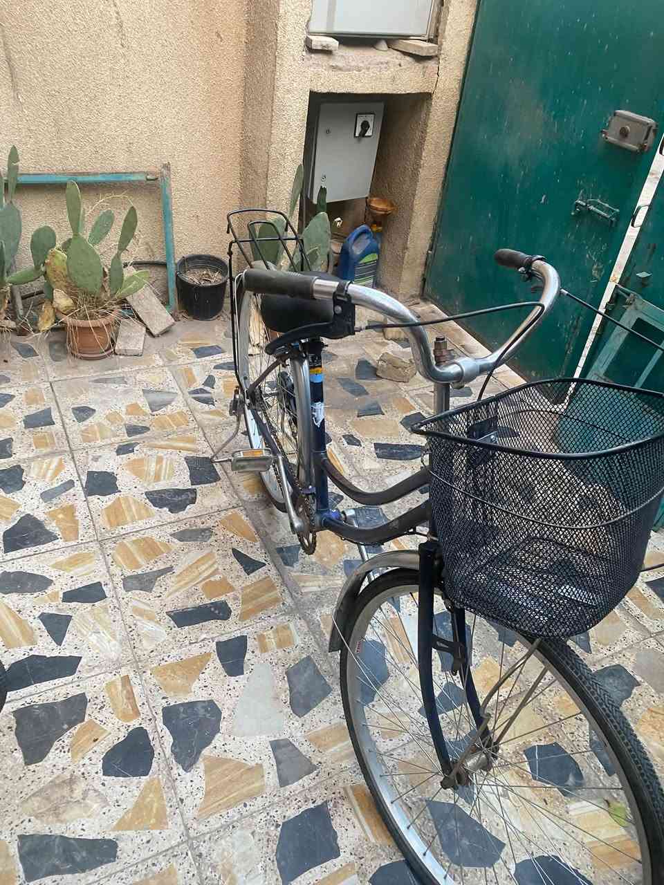 باسيكل بناتي • حجم ٢٦