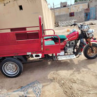 ستوته • ٢٠١٩ • اوراق