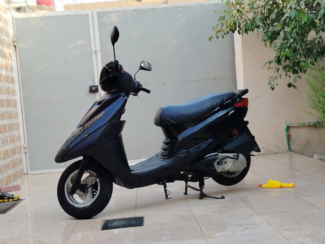 بريز ياباني • نظيفه • مراوس سكنس جبلي