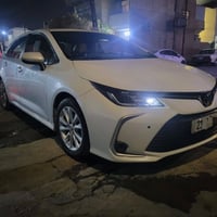 كورلا خليجي • ٢٠٢٣ • شواصي مكفوله