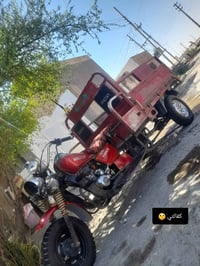 ستوته • اوراق اصولي • موديل 19