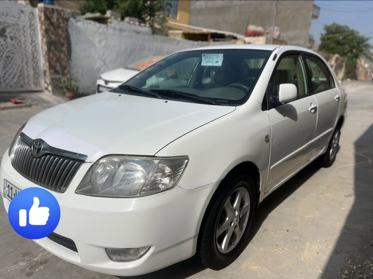 كورلا بيكاتشو • ٢٠٠٧ • واسط نعمانيه