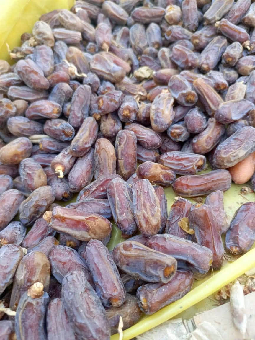 تمر شويثي • اسود • سوق الشيوخ