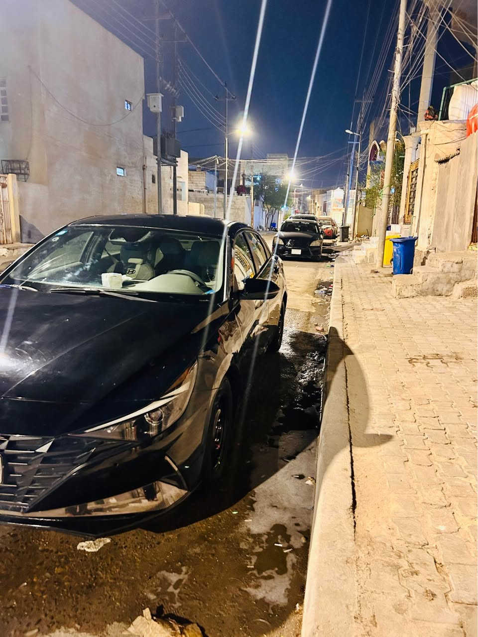 النترا ٢٠٢٣ • وارد امريكي • صبغ