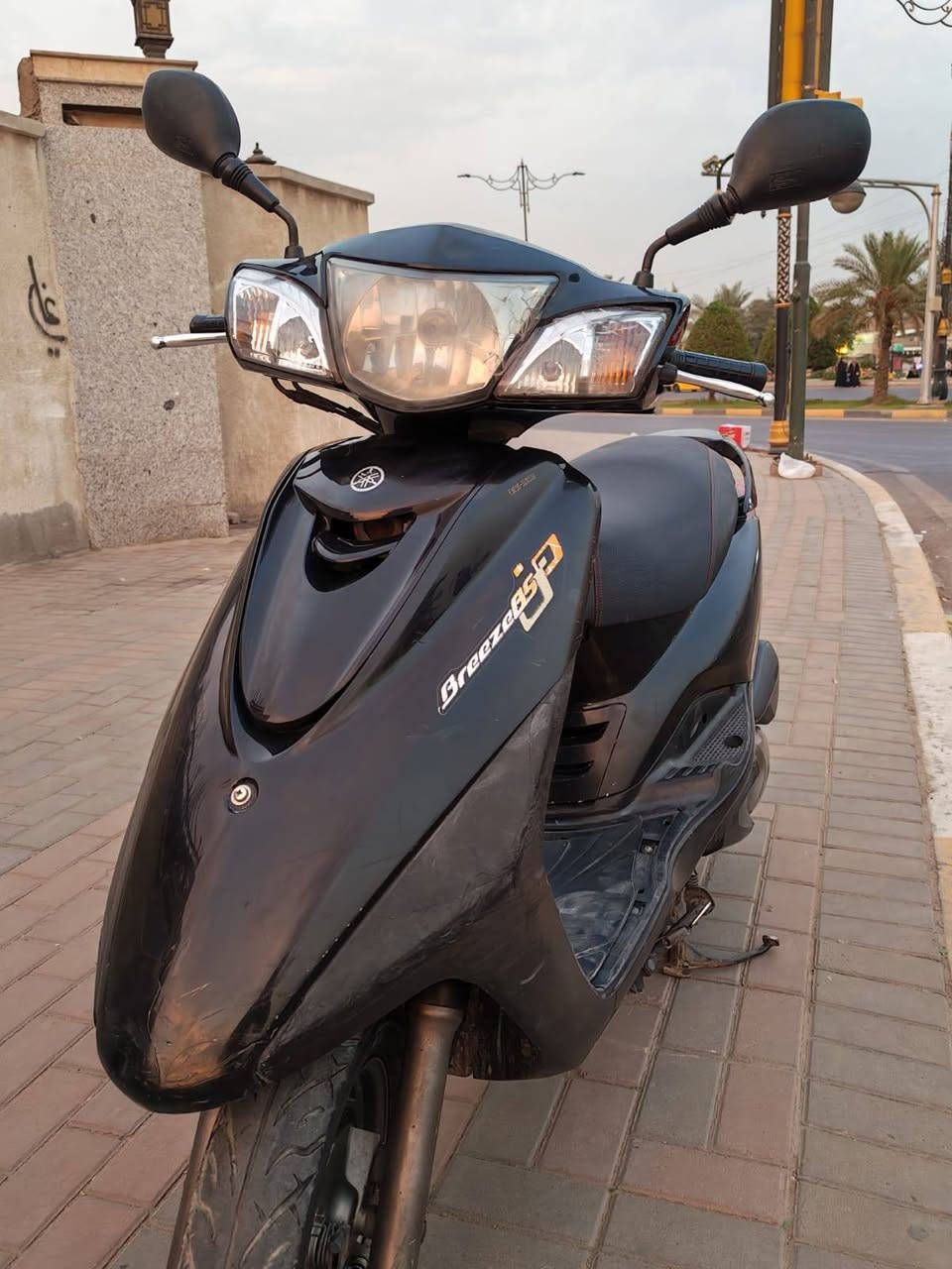 ببغاء • كفالة عامه • الطالبية