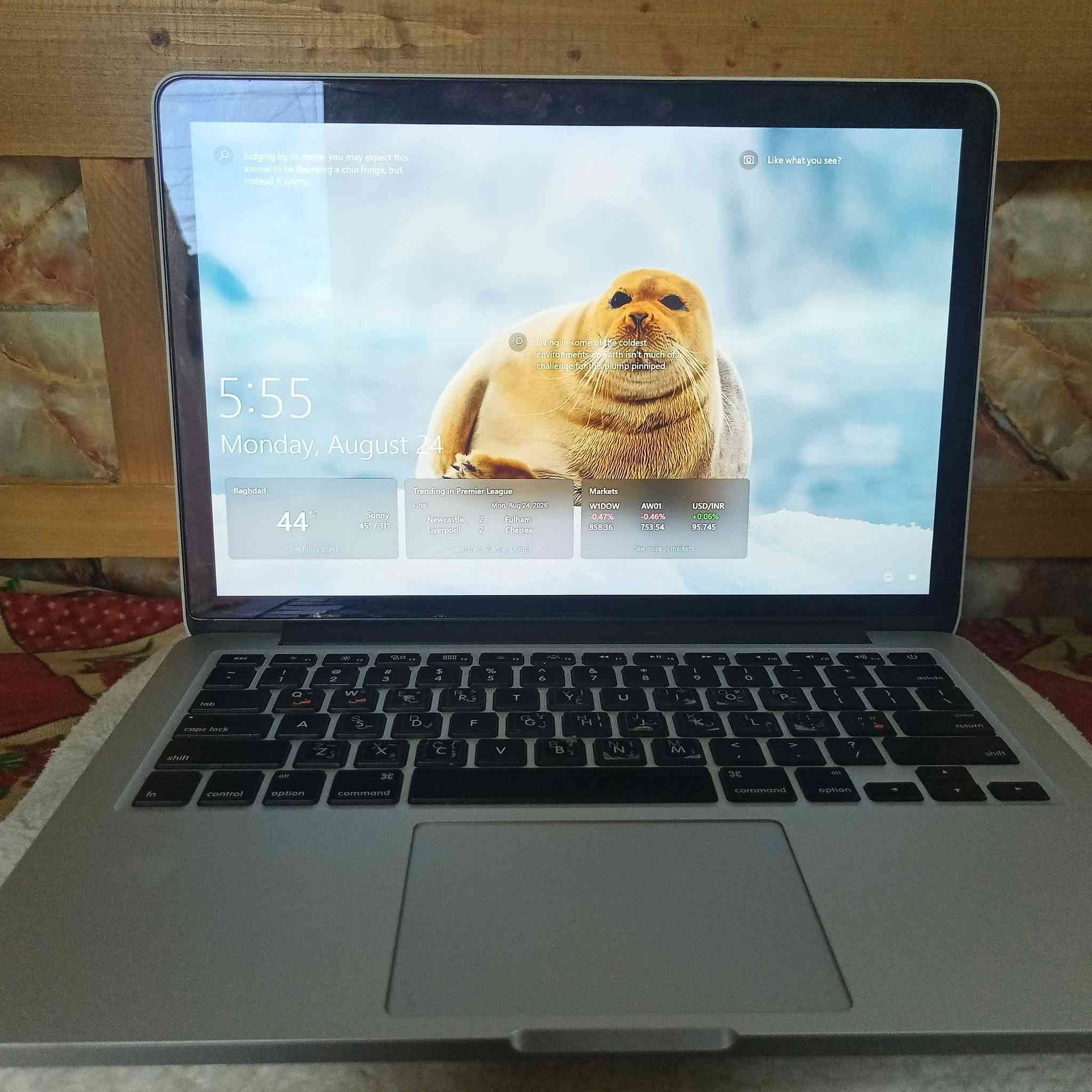 يا الله اللهم صلي على محمد وال محمد لابتوب للبيع مواصفات Cor i5 _3230 
2.60GHZ
250GGB
8SSD
lnTel(R)HD GYapmcs
سعر 500 وبيها مجال 

رقم واتساب ***********

