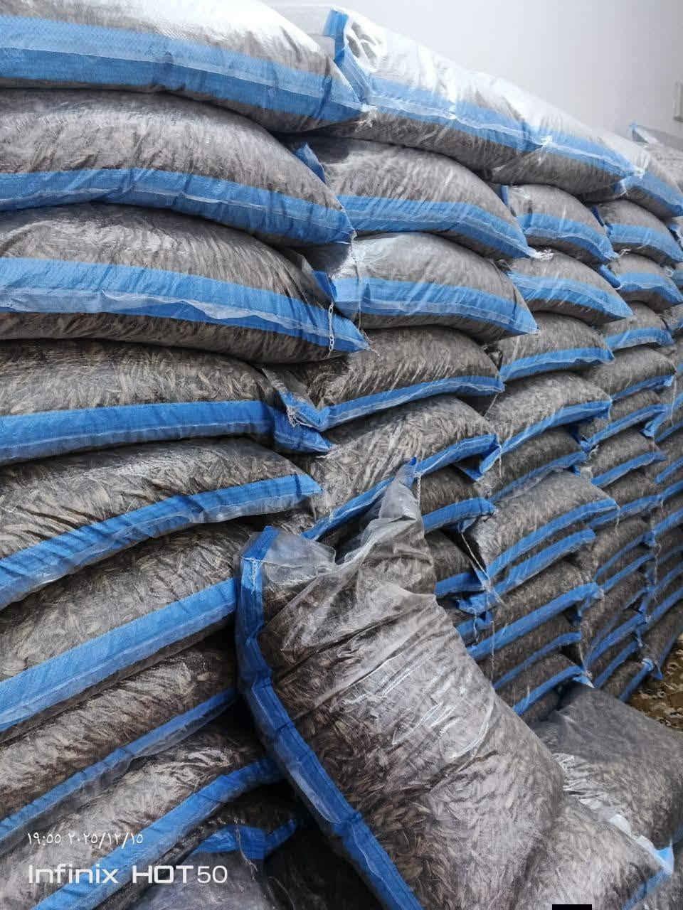 حب شمس • شركة شهد • منطقة الشعب