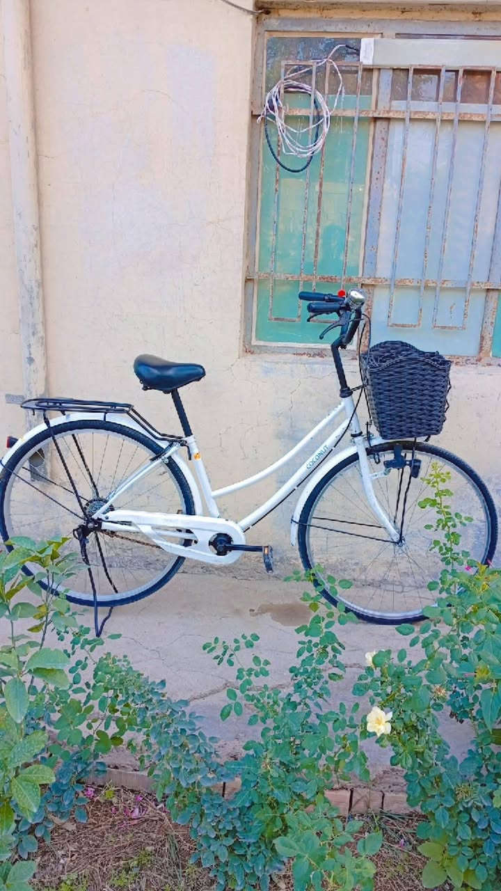 بايسكل • ٢٧ • نضافه