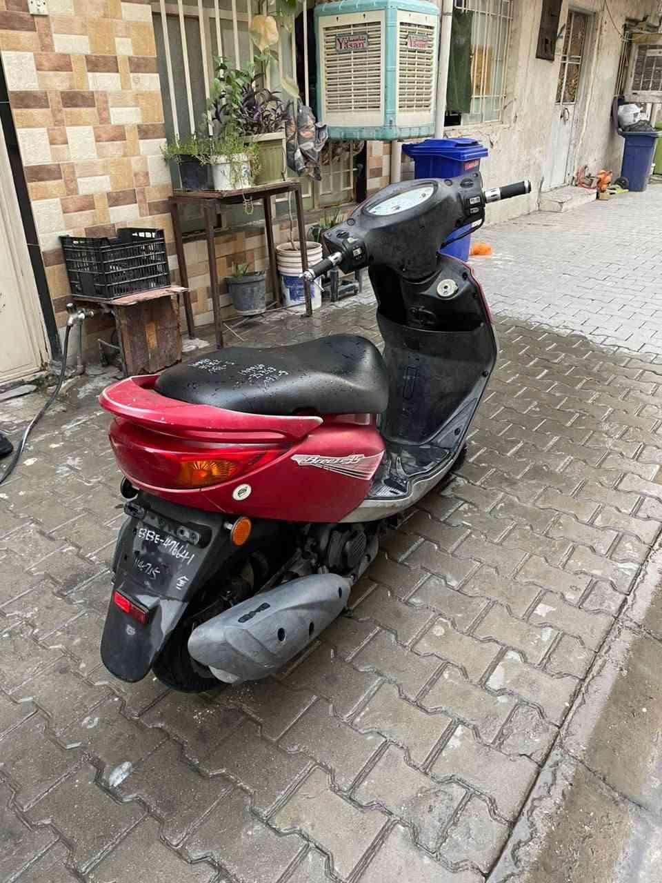 بريز • بغبغاء • شهرين