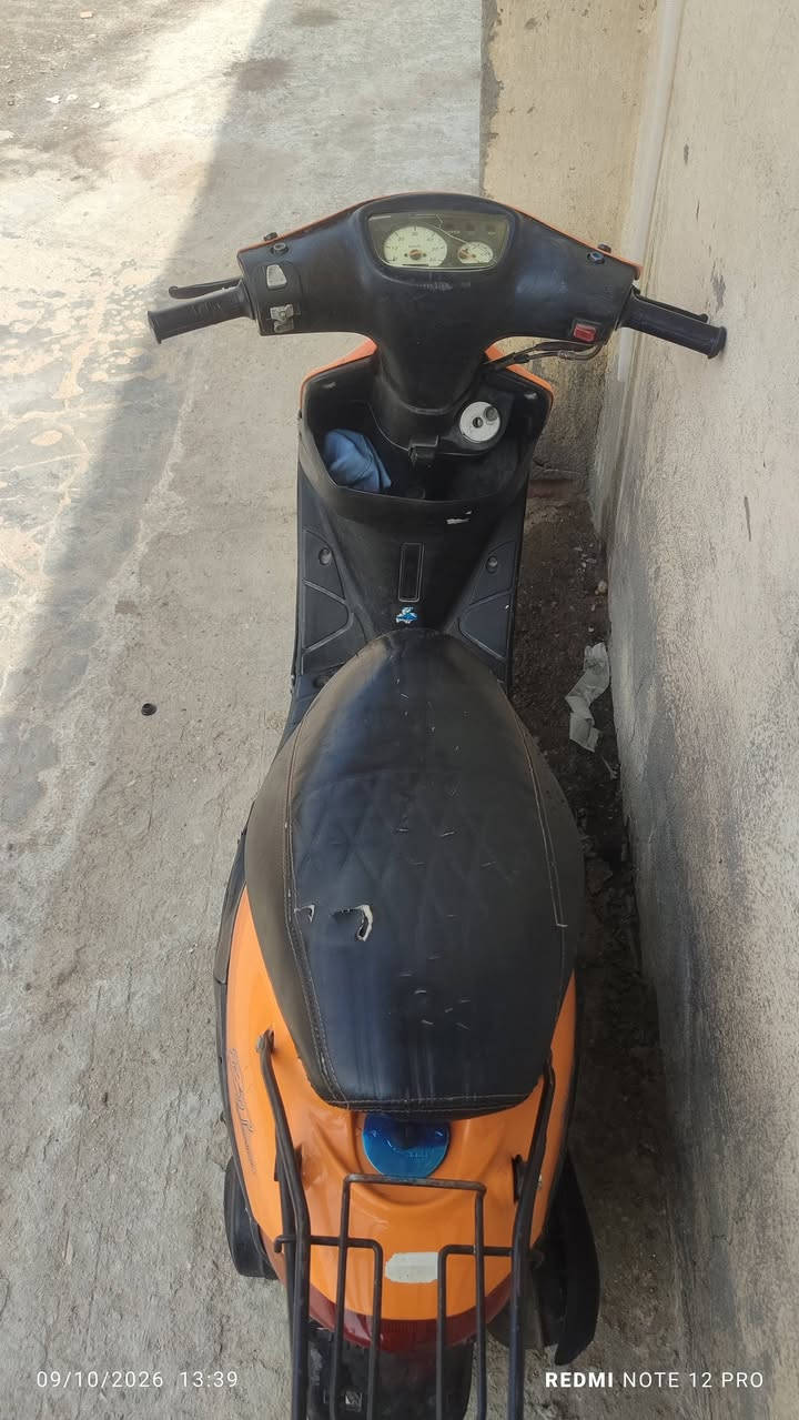 بيجي • تسع زروف • شغاله
