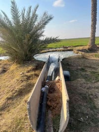 ٥ دوانم • طابو زراعي • الشيخ عامر