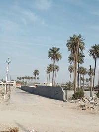 ٥٠م • ملك زراعي • الأعظمية