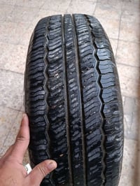 ويلكب • ستاركس • بصرة