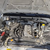 بيكاب نيسان • ٢٠٠٩ • السليمانية