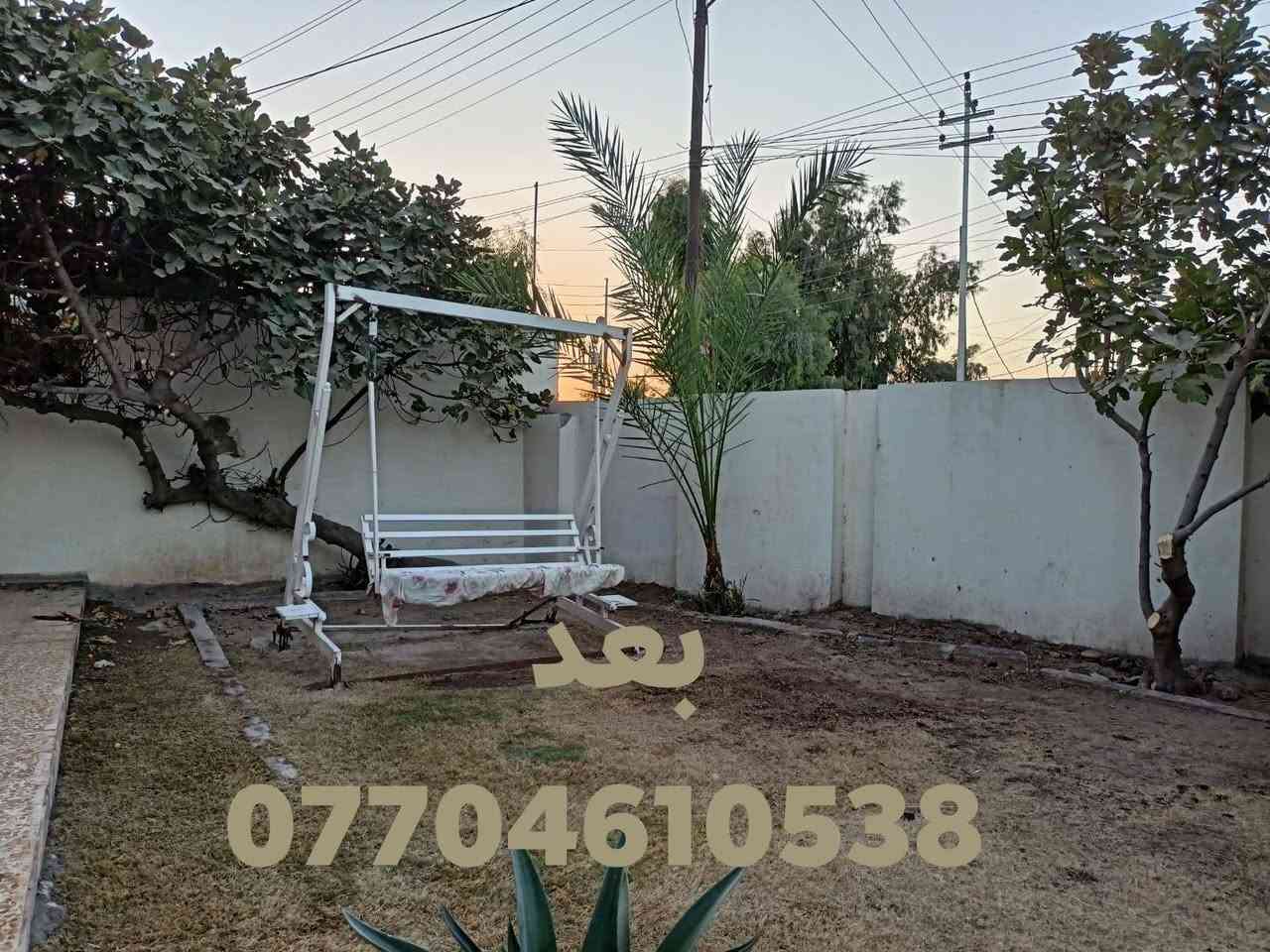 سلام عليكم جاهزين لتنضيف وتقليم جميع انواع الشجار وقص الحداي 💚🌴🌳🍊
اتصل ***********
