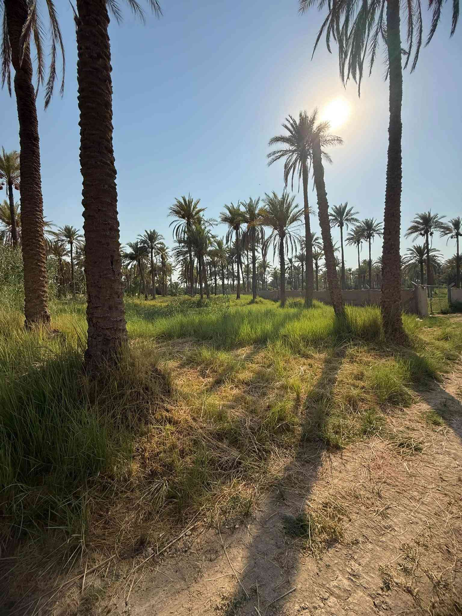 قطعه ارض للبيع العنوان كربلاء طويريج خلف البانزين خانه مال ابو جوعانه سند ٢٥  المساحه ١٣٤٠متر (واجهيه٢٠م*نزال٦٧م) للأستفسار الاتصال على الرقم التالي *********** رجاً الموشراي لايتعبني
