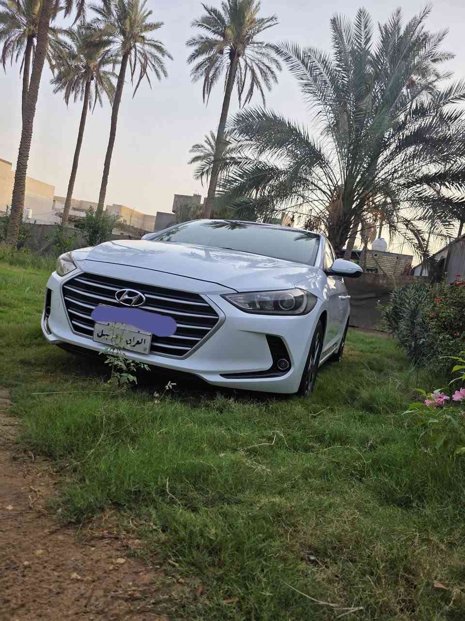 النترا • ٢٠١٧ • رقم اربيل