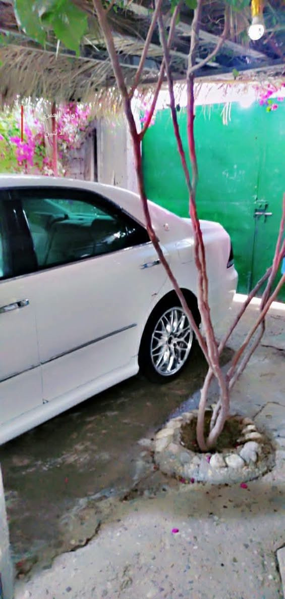سلام عليكم... شاهينه أدوات البيع.. متوم بغداد. 3 دكم، تبريد.. حدايه َمكينه كير.. ب 32 وبيه مجال مكان ذي قار سوق الشيوخ... تواصل ***********..
