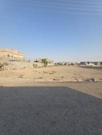 البصرة أم النعاج • ٢٧٠م • طابو زراعي