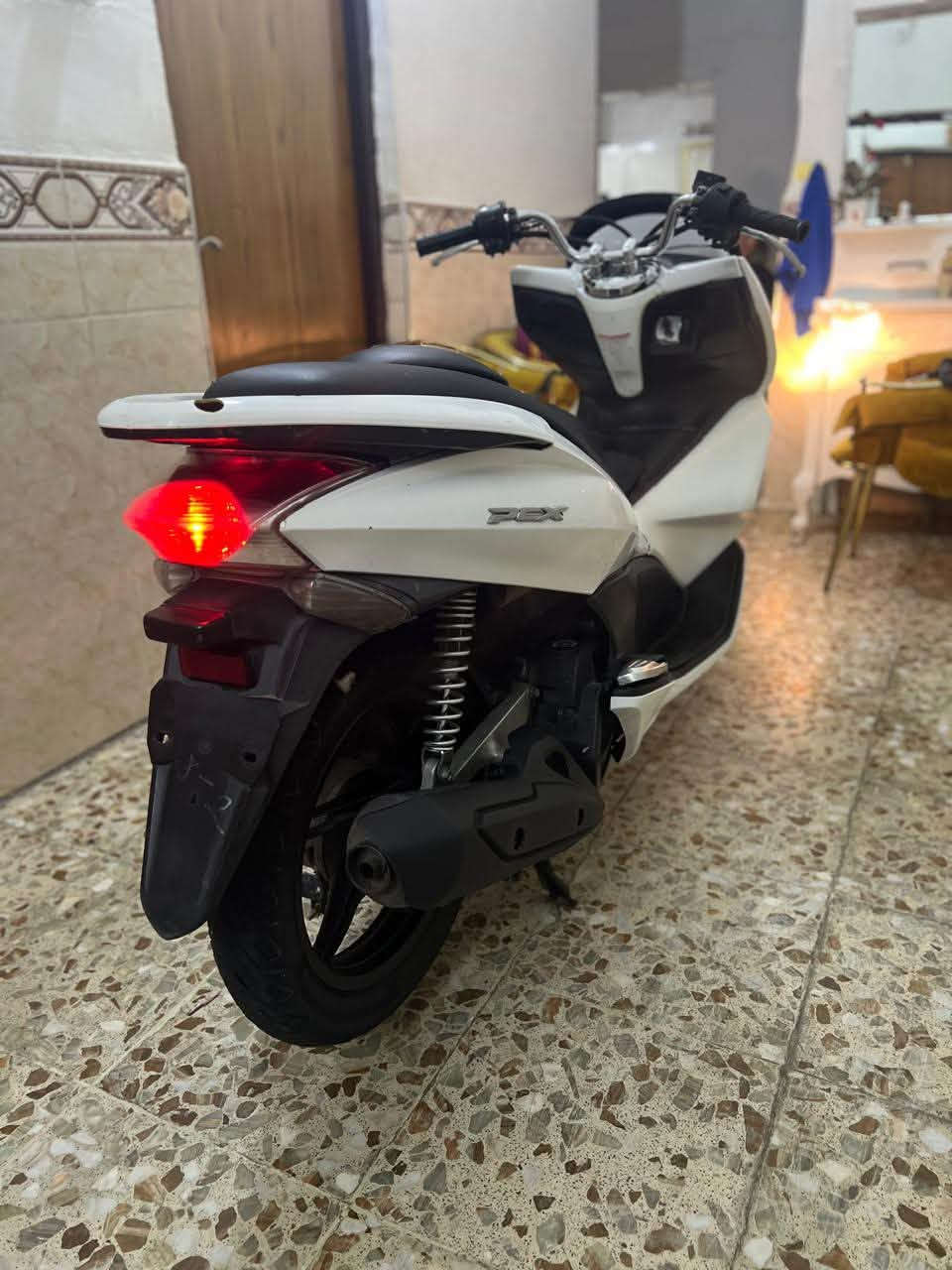 PCX • ياباني • اوراق كامله