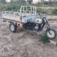 ستوته • موديل ١١ • رقم ابيض