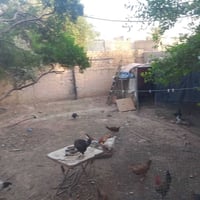 حي العسكري • ٤٥٠م • إدارة محلية