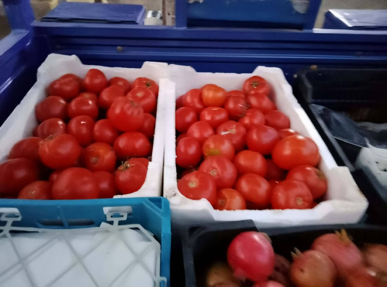 مخضر نضيف • طماطة بصل • حي العسكري الرابع