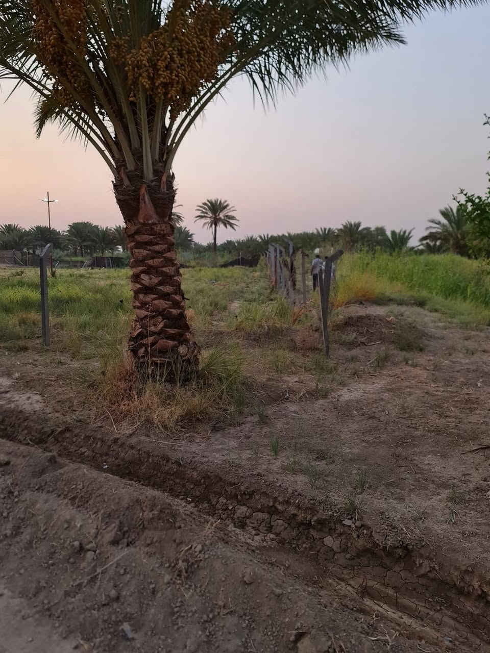 بستان مساحه دونم عنوان الارض خلف جامعه بابل خدمات كلها اباب الارض وسعر مناسب وطابو سند 25 بسمي احولك سند بسمك *********** يبعد عن طريق حله نجف 2000متر
مرخصة الادمن

