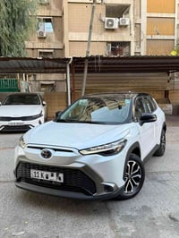 فروتلاندر S • ٢٠٢٥ • رقم بغداد