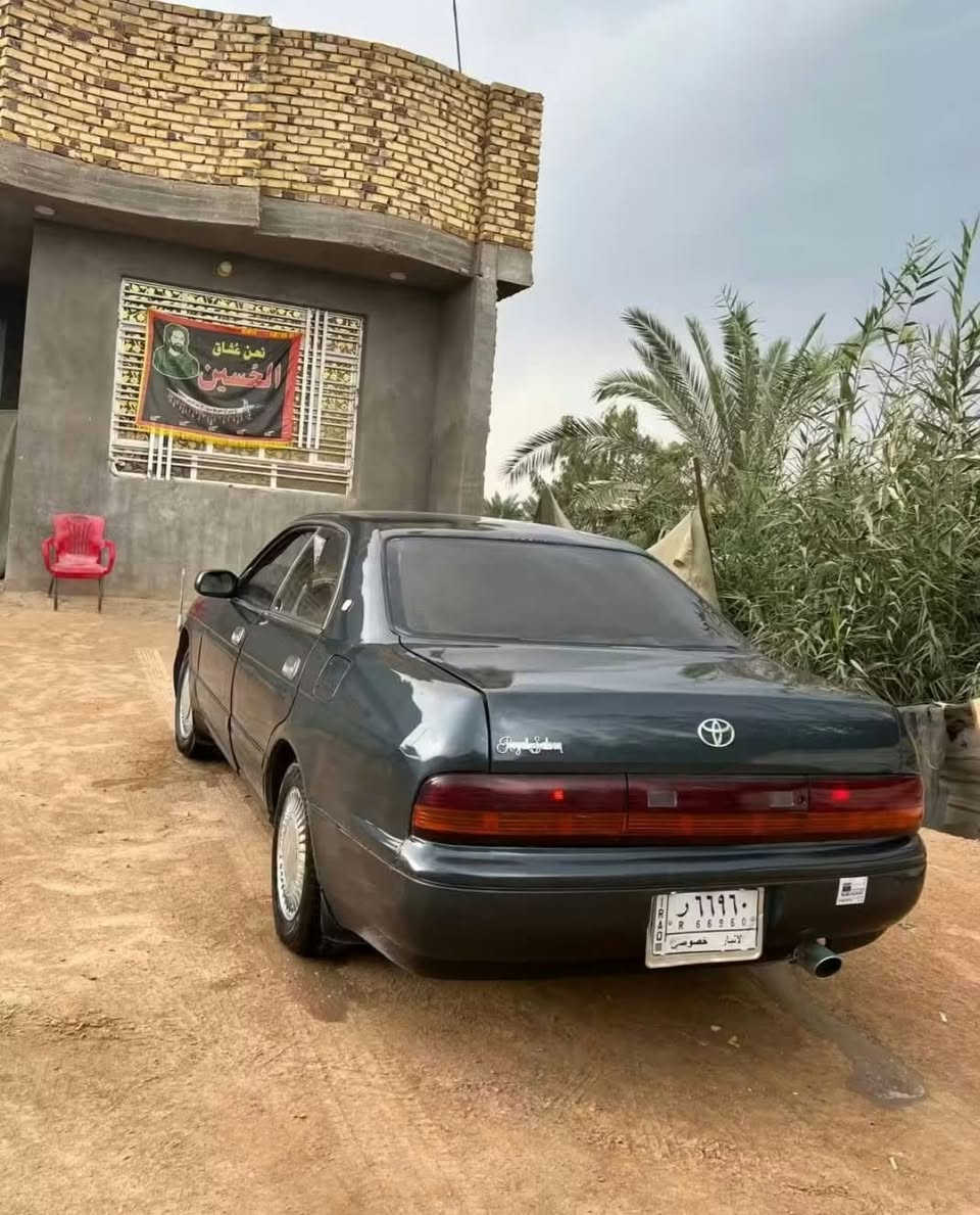 بطه • موديل ١٩٩٢ • مصبوغه