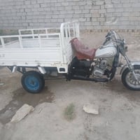 ستوته • كلك • ٢٠١٣