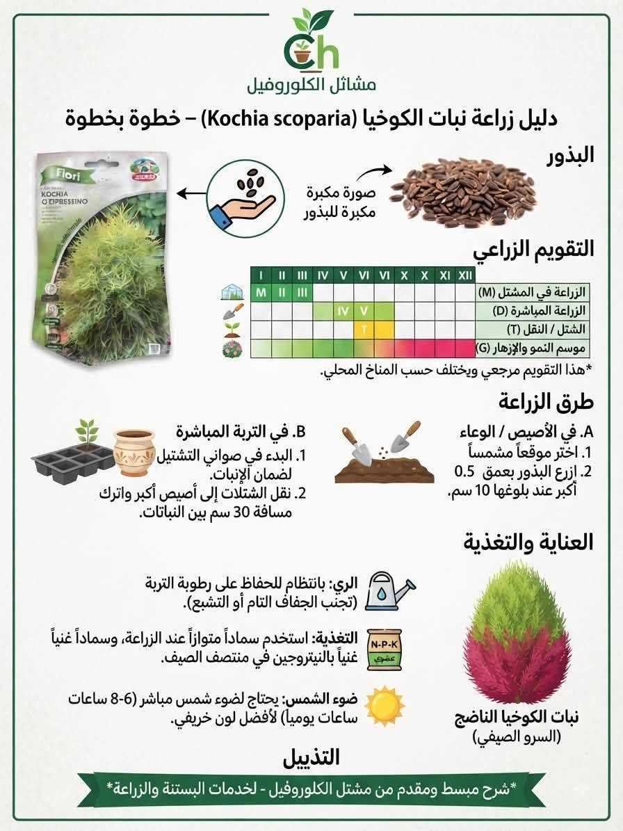 دليل زراعي رسومي مقدم من مشتل الكلوروفيل🍀
للحجز والاستفسار: *********** 📞 واتساب
