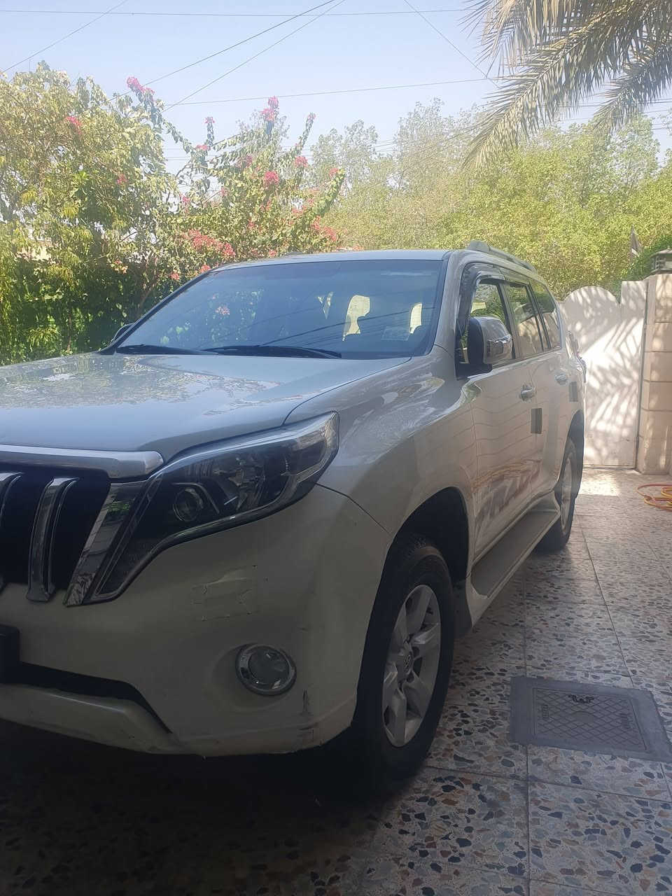 برادو موديل ١٤
٤ سلندر 
كفاله عامه بدون قطره صبغ ولا بارد 
مكينه كير تبريد كفاله عامه 
تخم تاير ياباني 
رقم بغداد بسمي رقم لجديد نكليزي 
سعر ٢٨٠ وبيهه مجال لشراي 
***********
مكان السياره بغداد الكرخ
