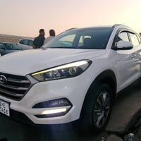 توسان ٢٠١٨ • خليجي • رقم اربيل