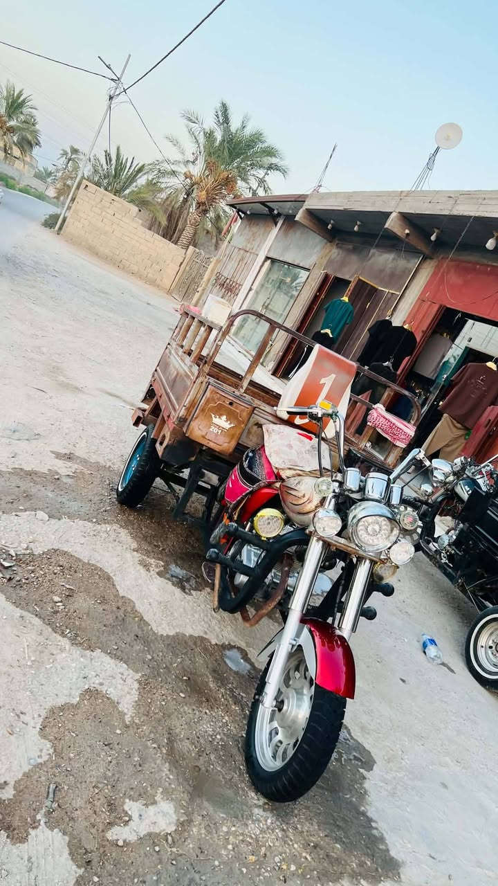 ستوته • مديل 10 • اسود