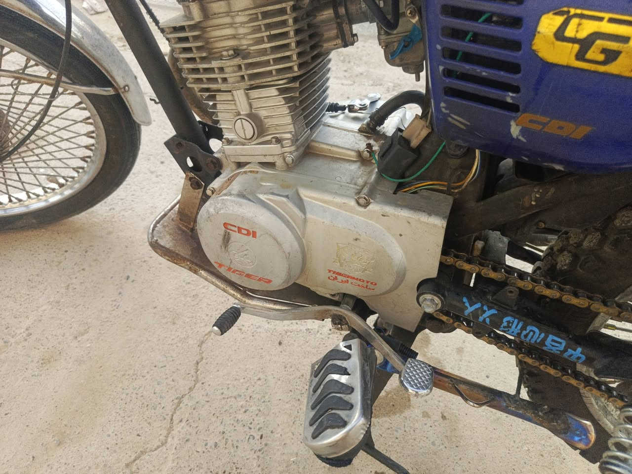 تايكر • ٢٠٢٣ • وايرمنيه