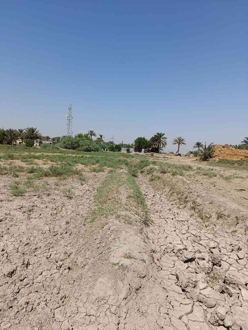 سلام عليكم
ارض للبيع 16 دونم مع بيت جاهو يحتوي  على 3 غرف  ومضخت ماي 15حصان   عقده 6ويجاره 10 دونم بسمي  عل شط تبليط اللباب
عمود كهربا   وكافت الخدمات مي اساله 
المكان نجف ناحية الحريه منطقة الغزالي 
للاستفسار اكثر 
*********** رقمي
