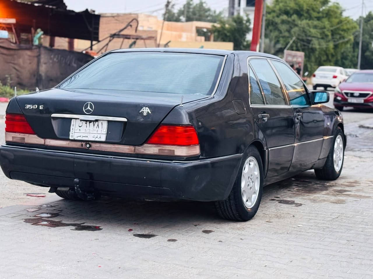 معمر • اسود • ازرق