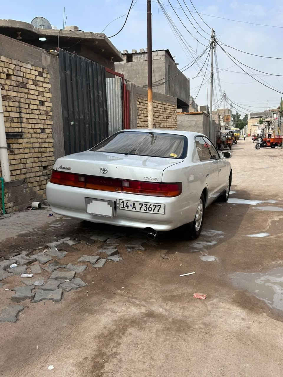 سيزر • للبيع