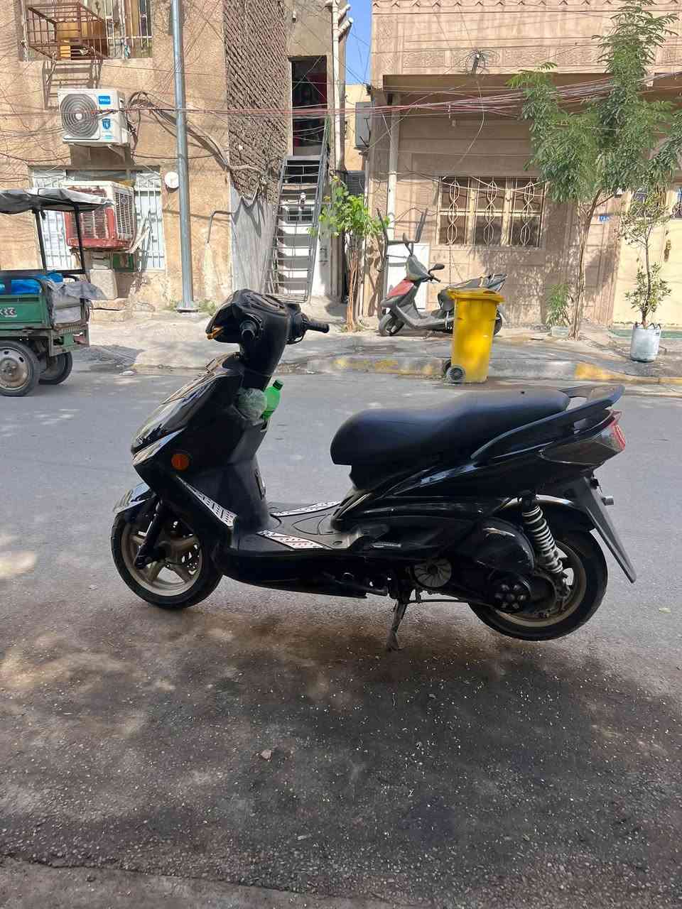 سكنس فحل • نكرة • سلف