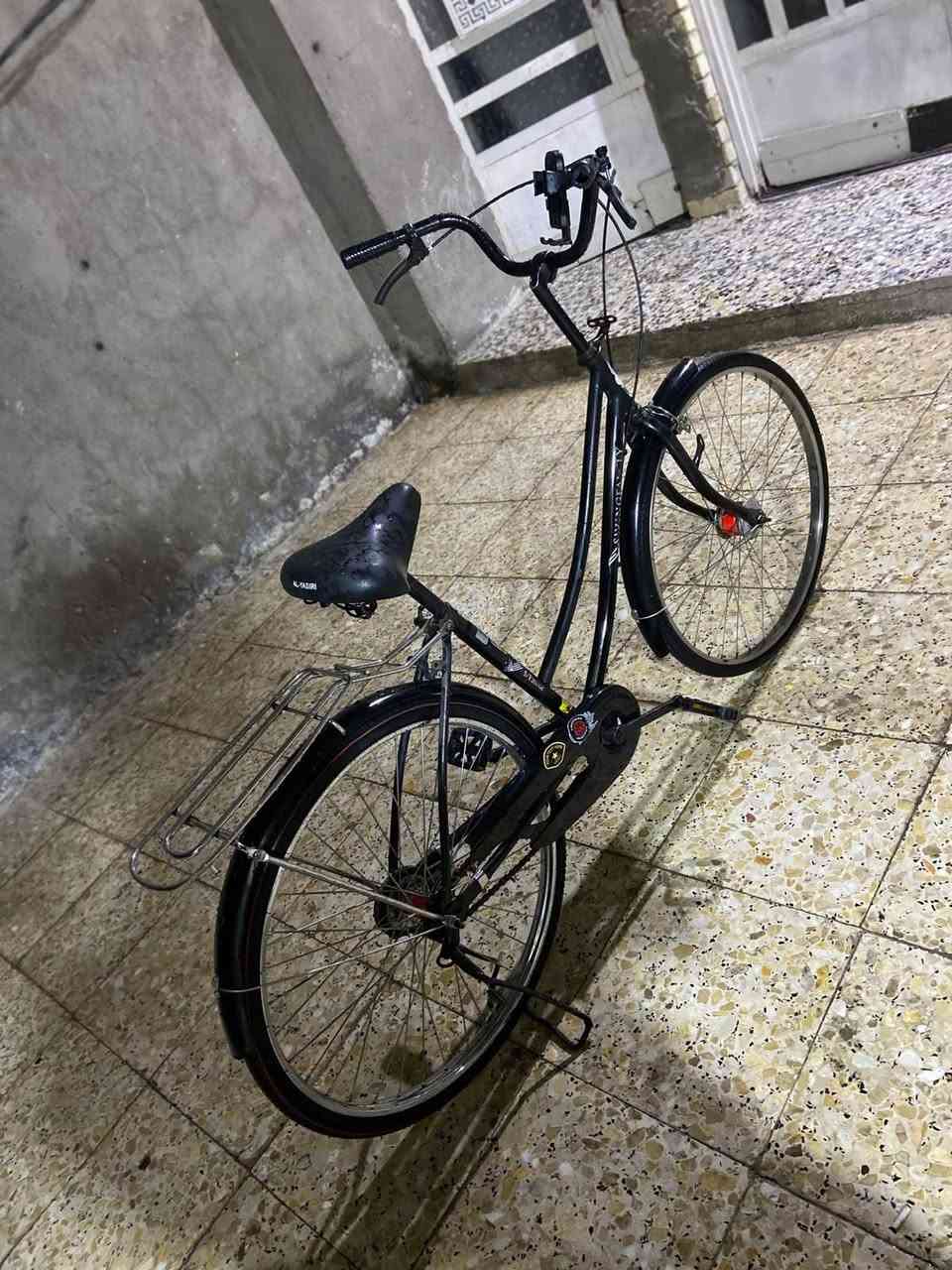 جديد • حجم ٢٦ • بغداد العبيدي