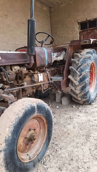 عنتر • للبيع