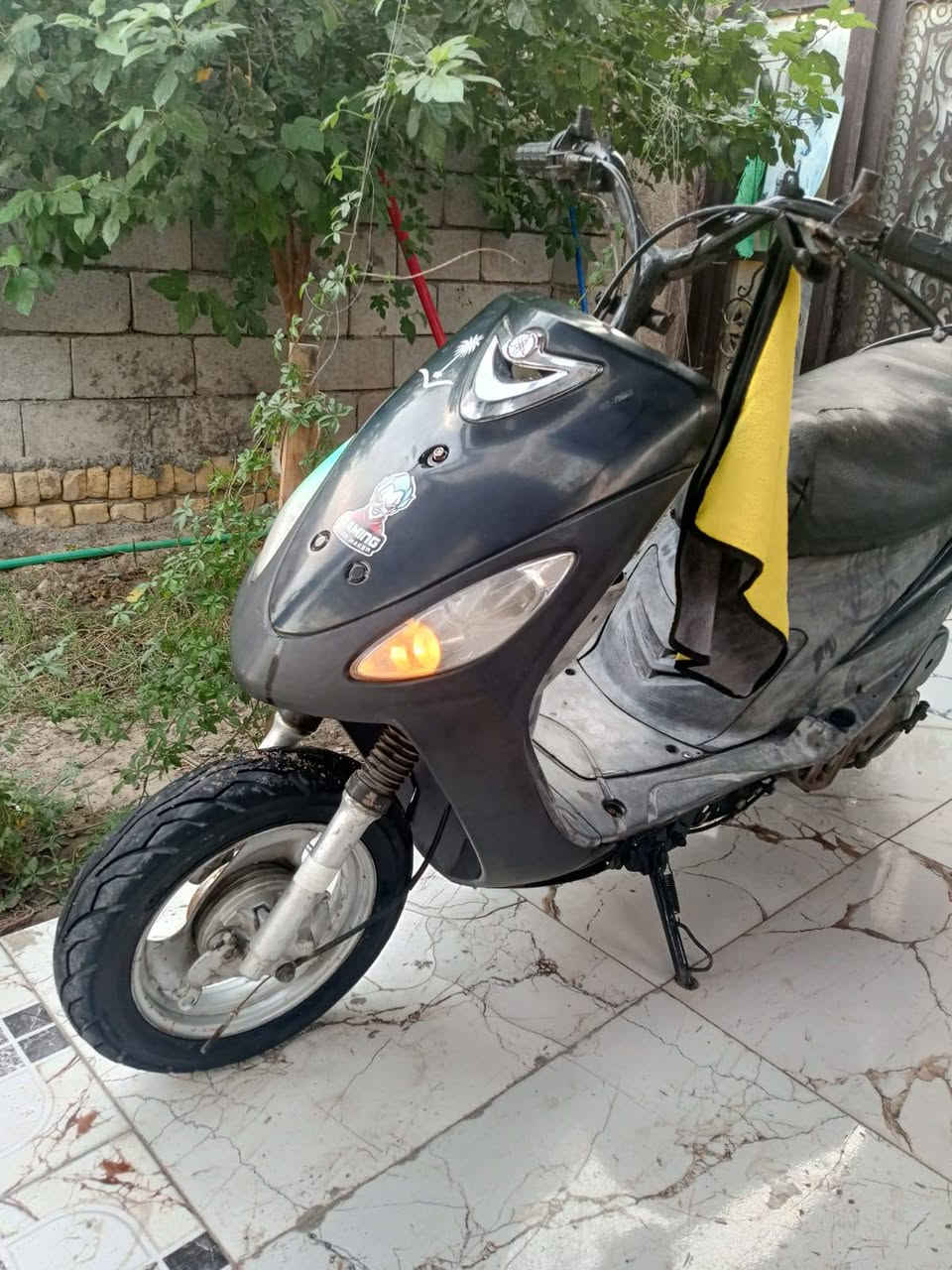 ماكس منغولي • معدل • بوشه 55