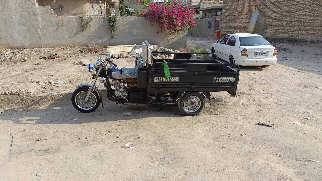 ستوته • موديل ٢٠١٩ • اوراق اصولي